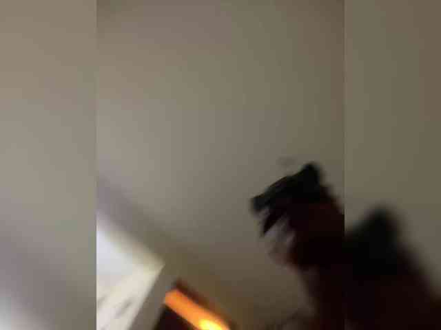 Sire-n webcam