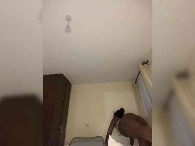 Sire-n webcam
