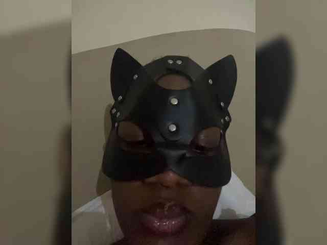Sire-n webcam