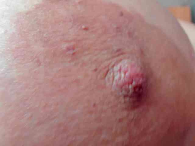 nathalia-correa nathalia-correa