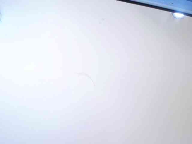 MartinaPearl webcam
