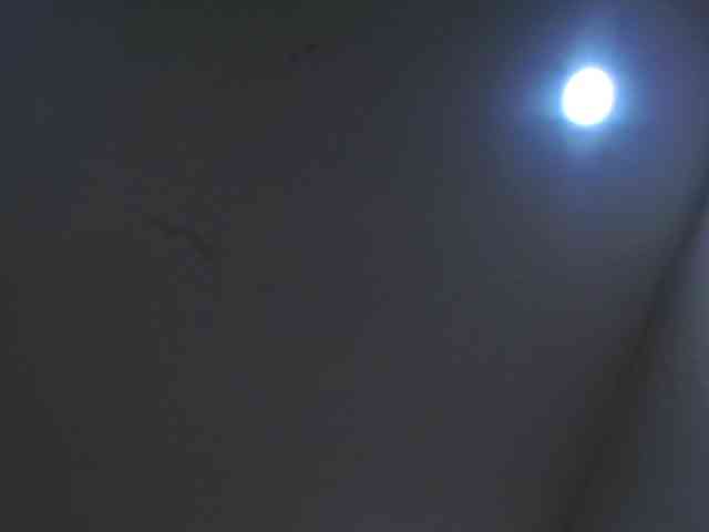 MartinaPearl webcam