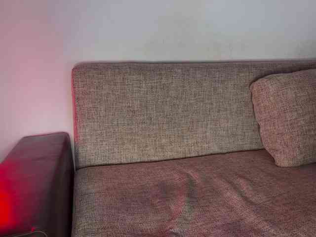 PinkFoxya webcam