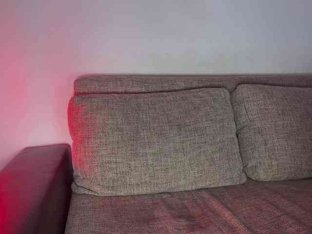 PinkFoxya webcam