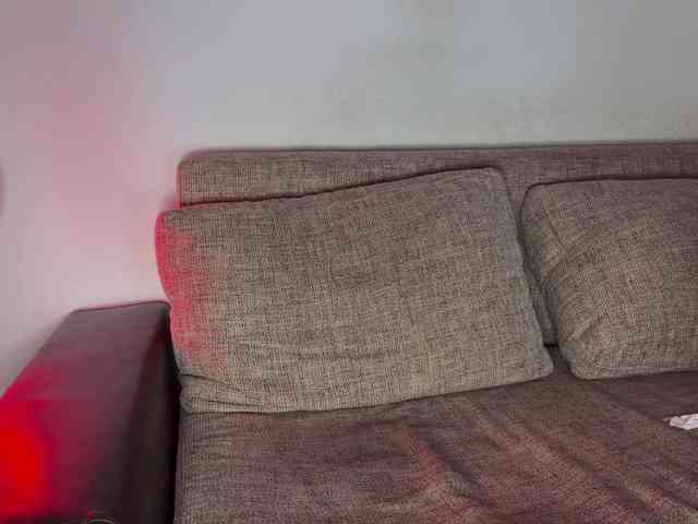 PinkFoxya webcam