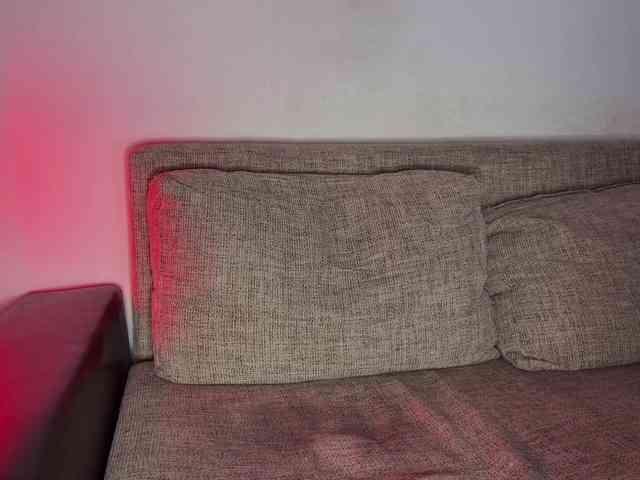 PinkFoxya webcam