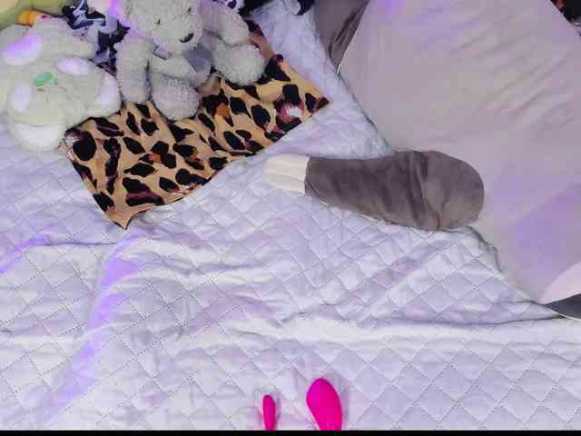 SAVY-LOLY webcam