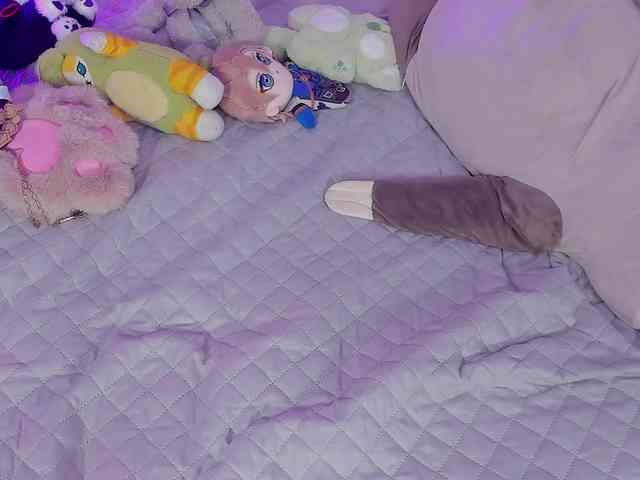 SAVY-LOLY webcam