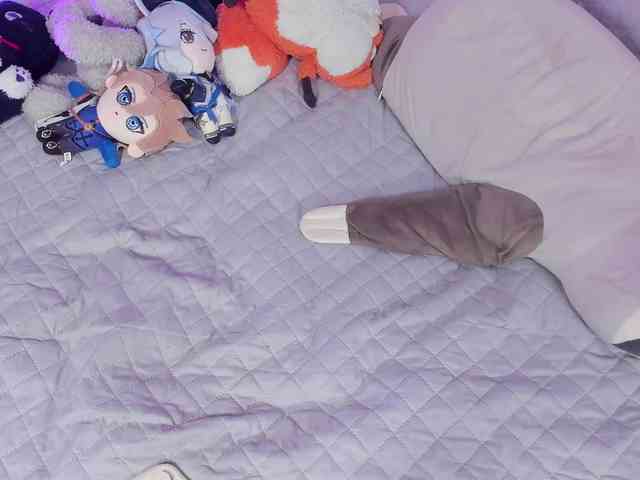 SAVY-LOLY webcam