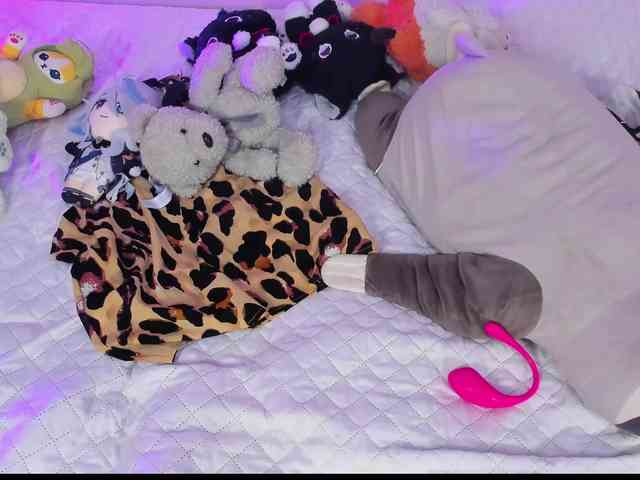SAVY-LOLY webcam