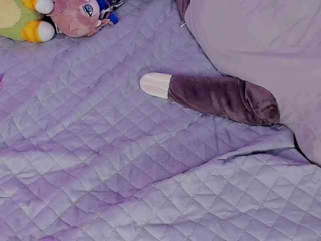 SAVY-LOLY webcam