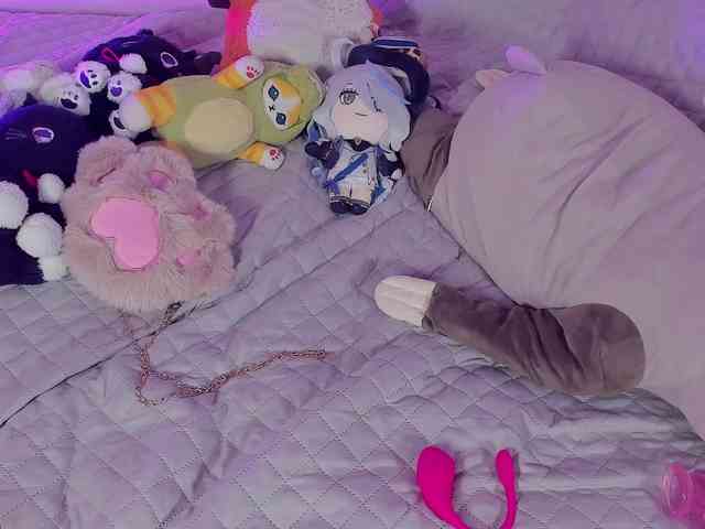 SAVY-LOLY webcam