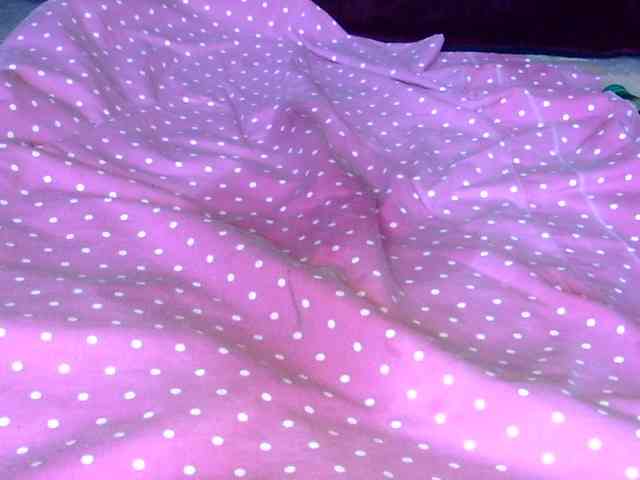 Savournie webcam
