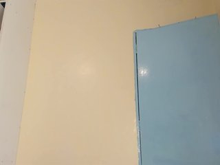 Barbie-The-Body Porn Show