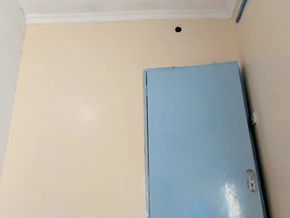 Barbie-The-Body Porn Show