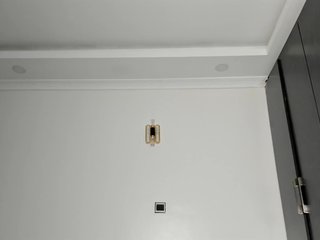 Barbie-The-Body Porn Show