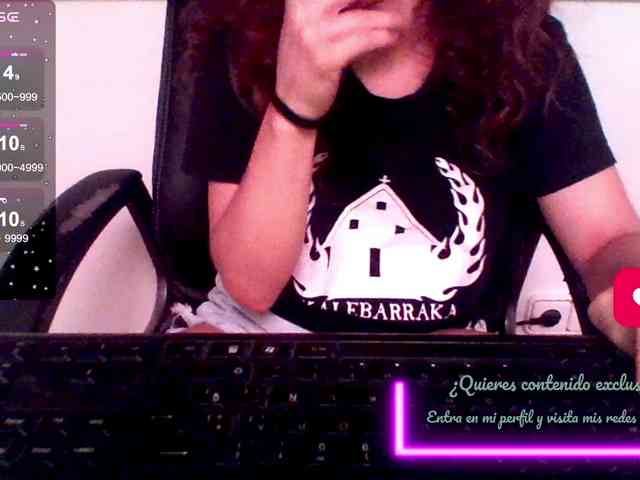 aprendizdsumisa webcam