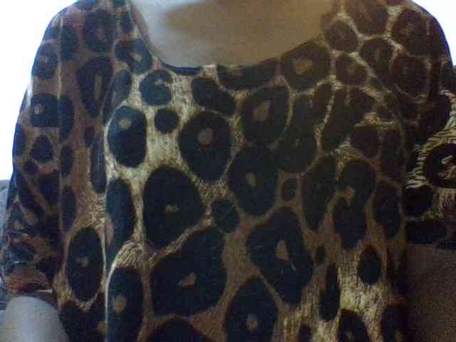 Lustylusty20 webcam