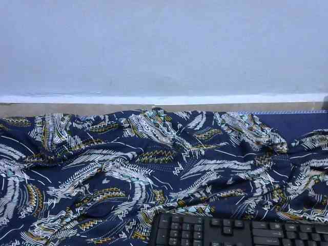 Ruffo10 webcam
