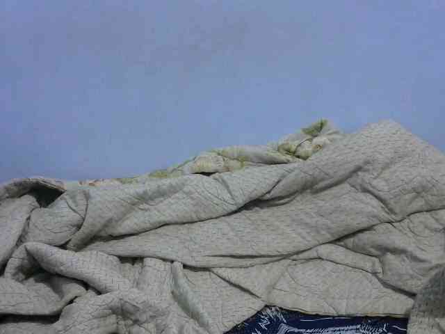 Ruffo10 webcam