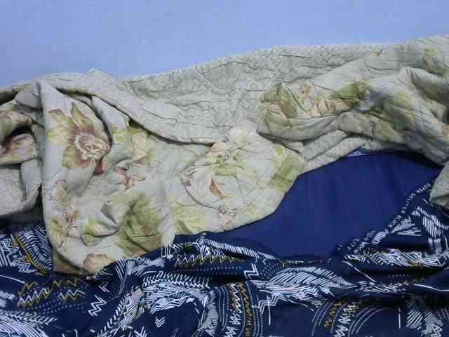 Ruffo10 webcam