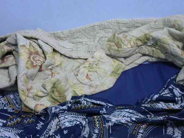 Ruffo10 webcam