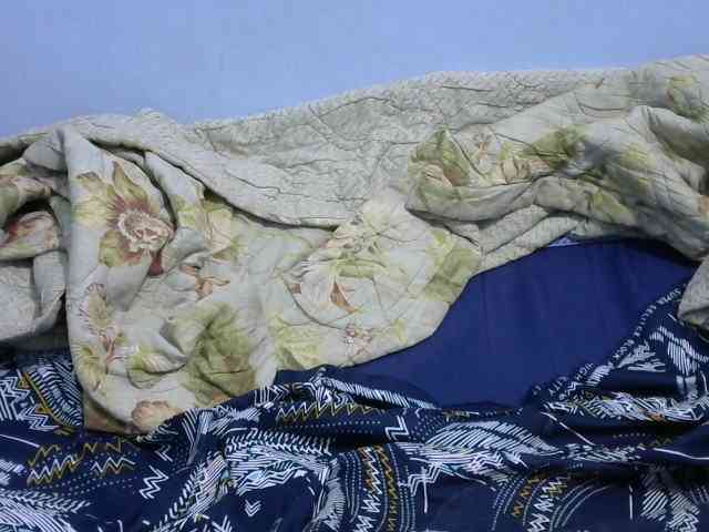 Ruffo10 webcam