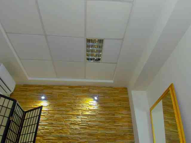 JessyBee Live Webcam on BongaCams