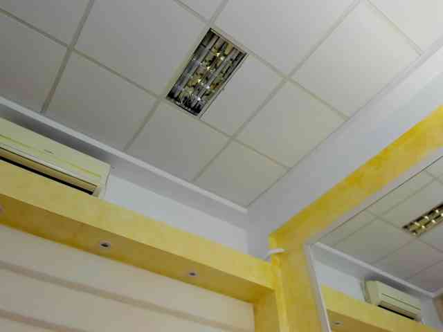 JessyBee webcam