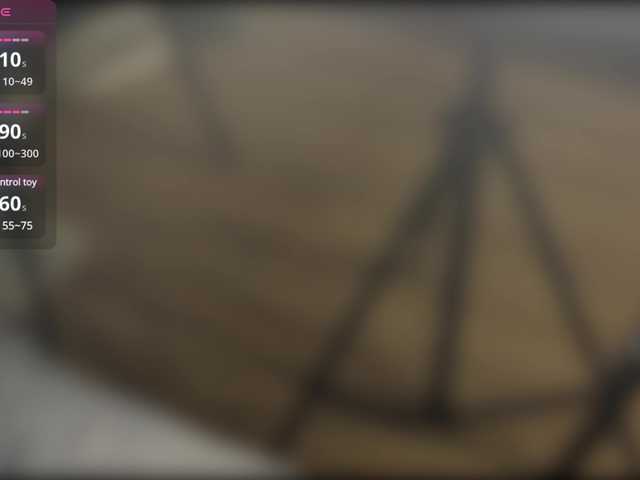 _ANN_ webcam
