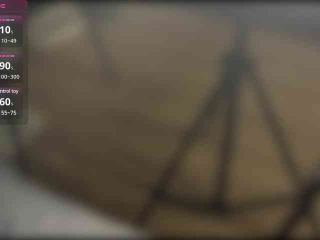 _ANN_ webcam