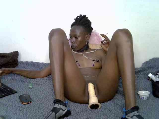 Dammyyaro webcam