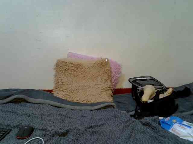 Dammyyaro webcam