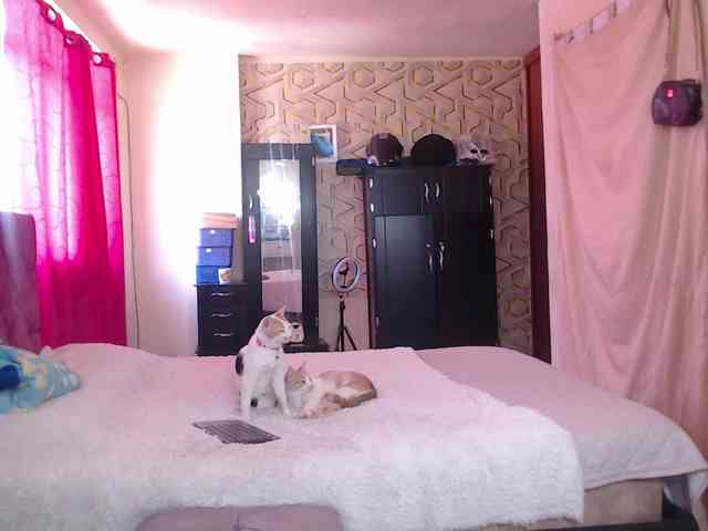 julianarise webcam