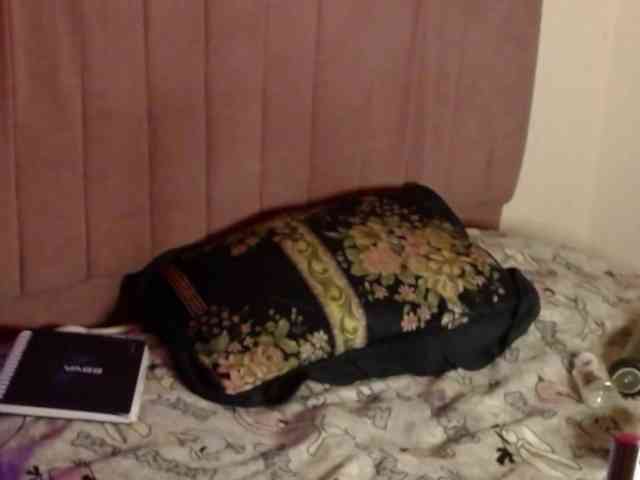 salmalopez salmalopez