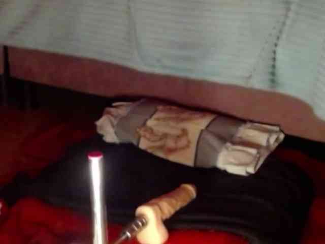 salmalopez salmalopez