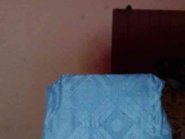 salmalopez webcam