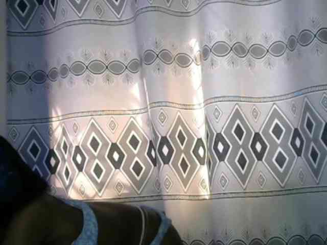 Monalisalisa webcam