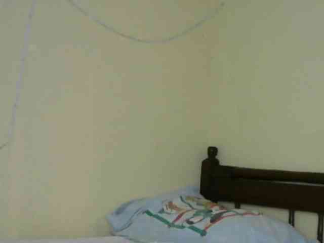 Monalisalisa webcam
