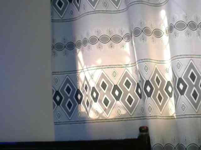 Monalisalisa webcam