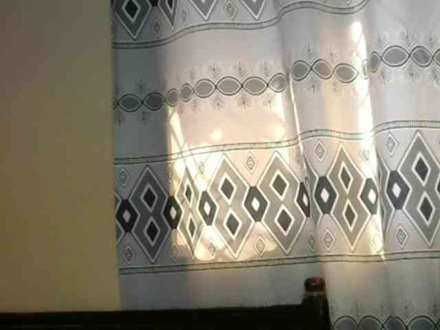 Monalisalisa webcam