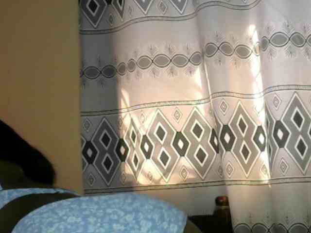 Monalisalisa webcam