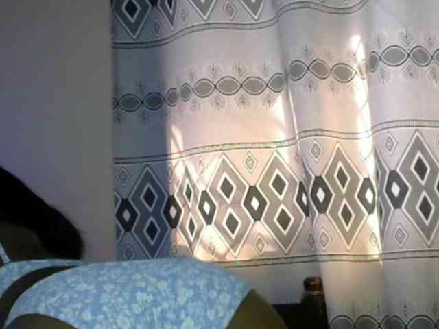 Monalisalisa webcam