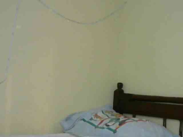Monalisalisa webcam