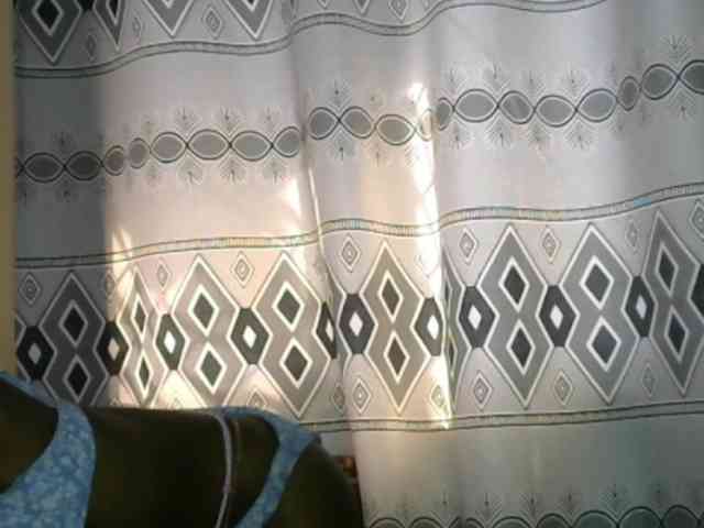 Monalisalisa webcam