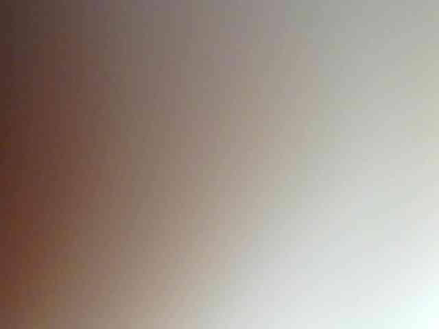 Monalisalisa webcam