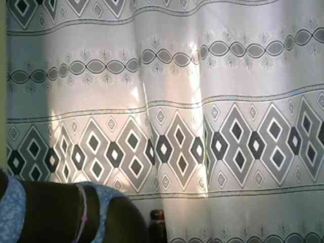 Monalisalisa webcam