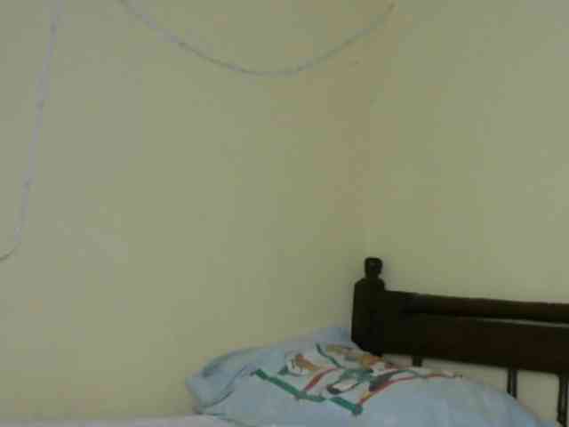 Monalisalisa webcam