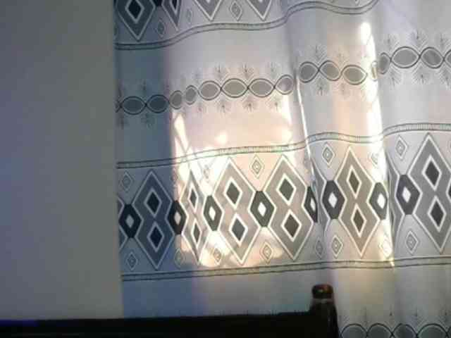 Monalisalisa webcam