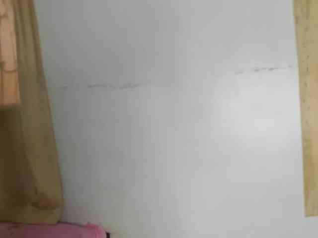 Monalisalisa webcam